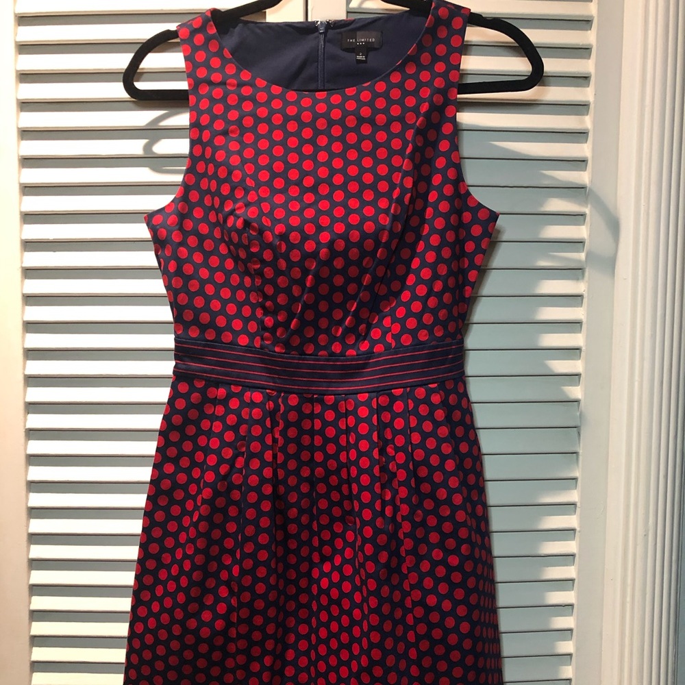 The Limited Navy Blue & Red Polka Dot Dress